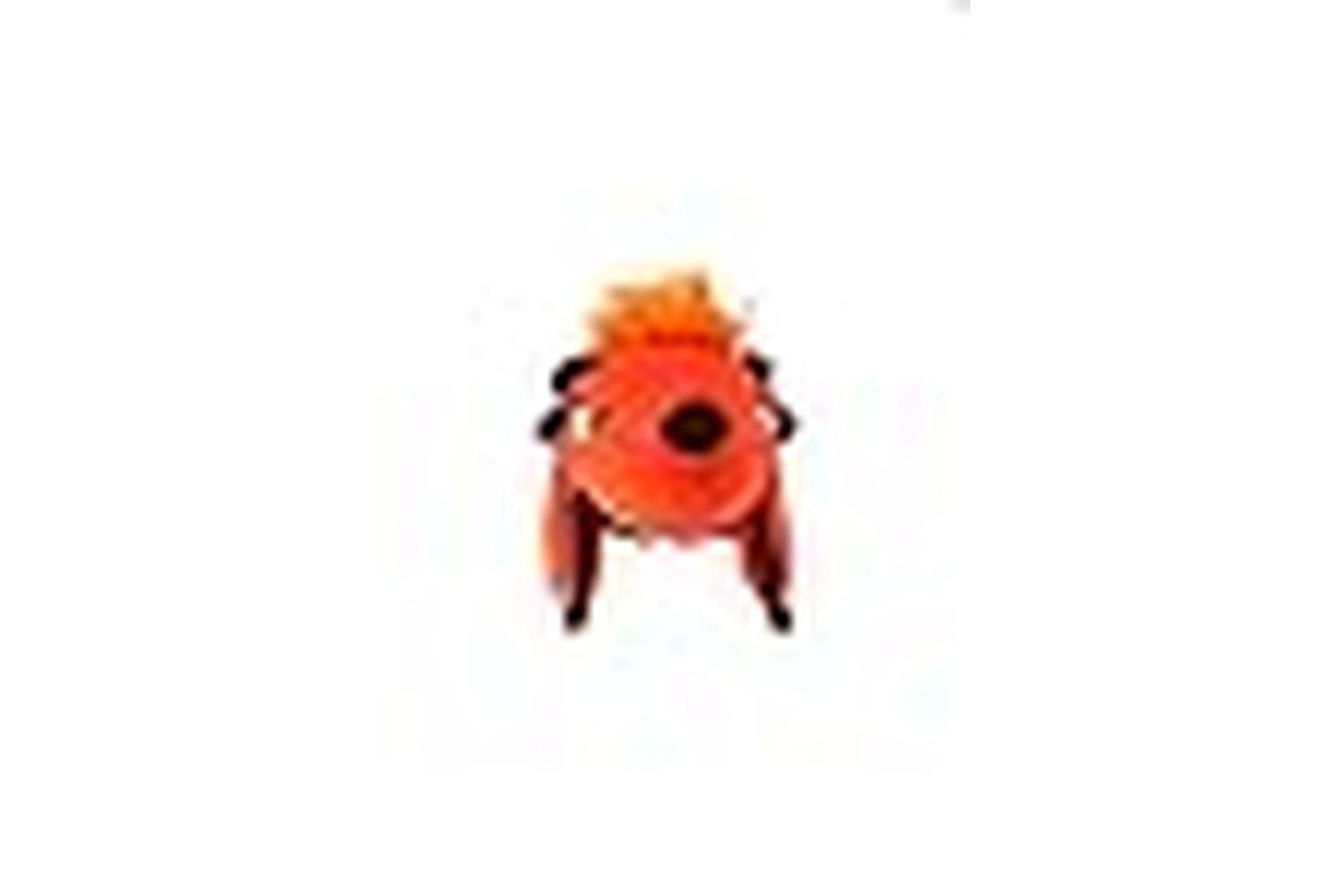 Gigwi Pei-265975 - Gigwi Duraspikes Extra Durable Racoon Ora-3