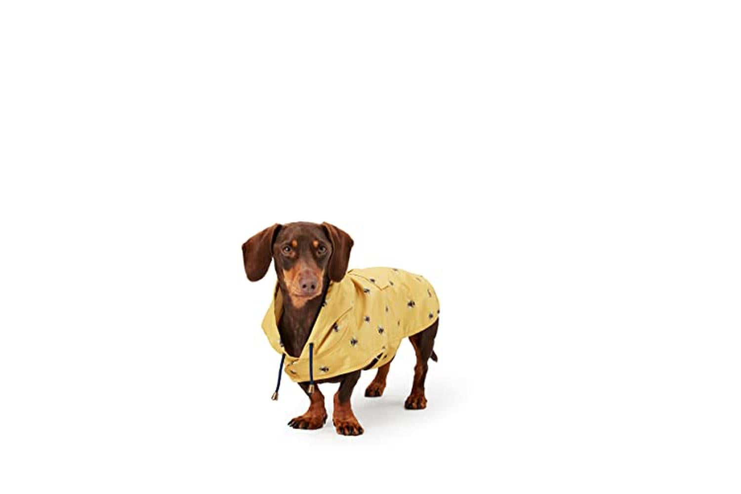 Rosewood Joules Pei-269842 - Joules Golightly Packaway Jacke-2