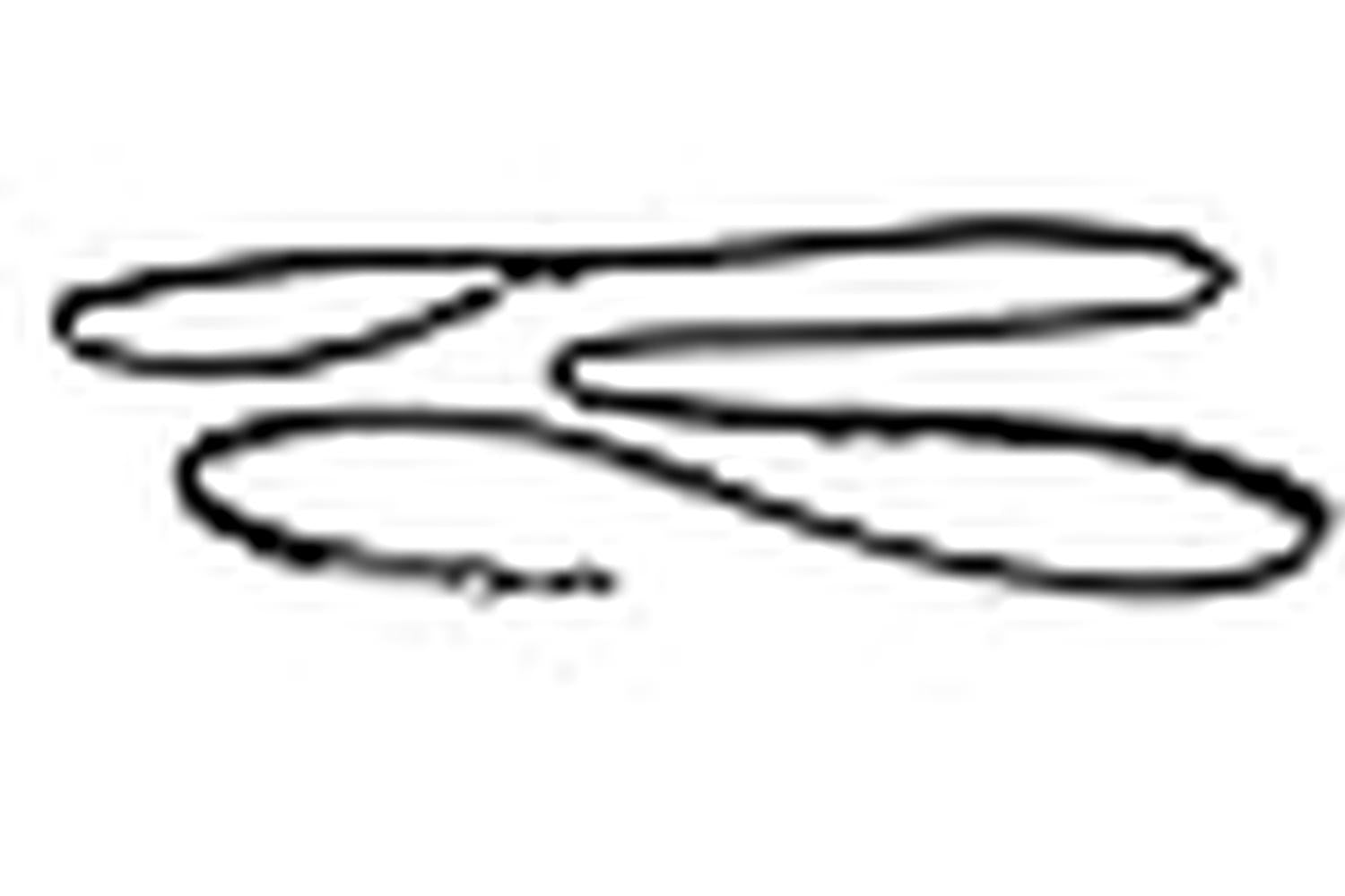 Company Of Animals Pei-263792 - Coa Halti Double Ended Lead-3
