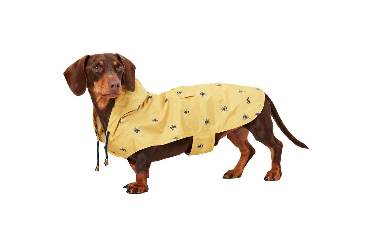 Rosewood Joules Pei-269841 - Joules Golightly Packaway Jacke