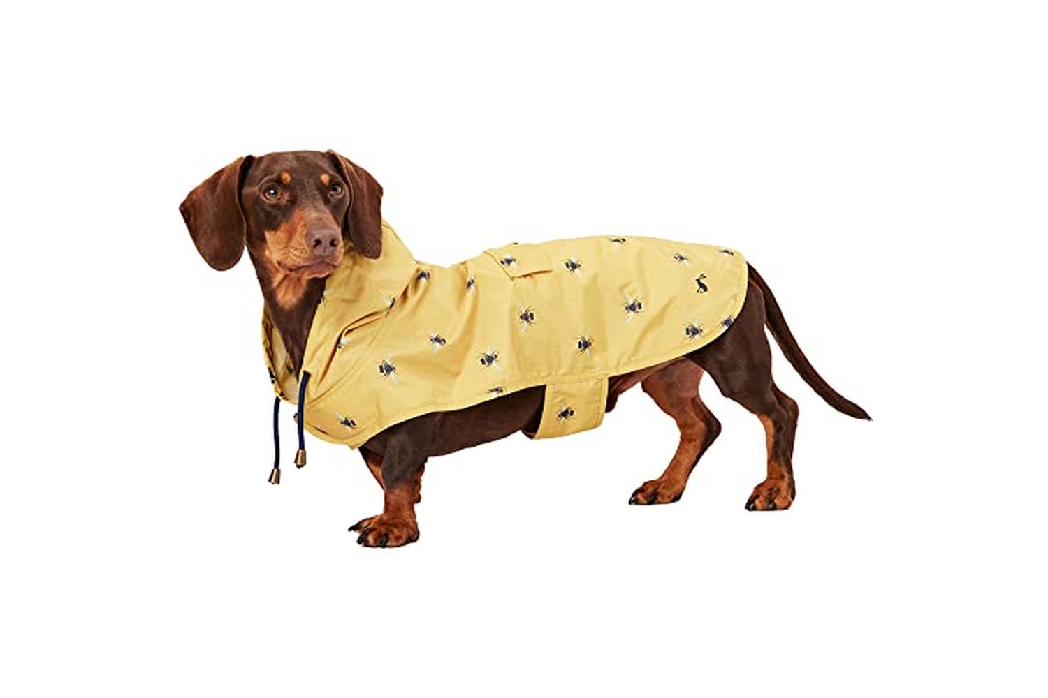 Rosewood Joules Pei-269841 - Joules Golightly Packaway Jacke-2