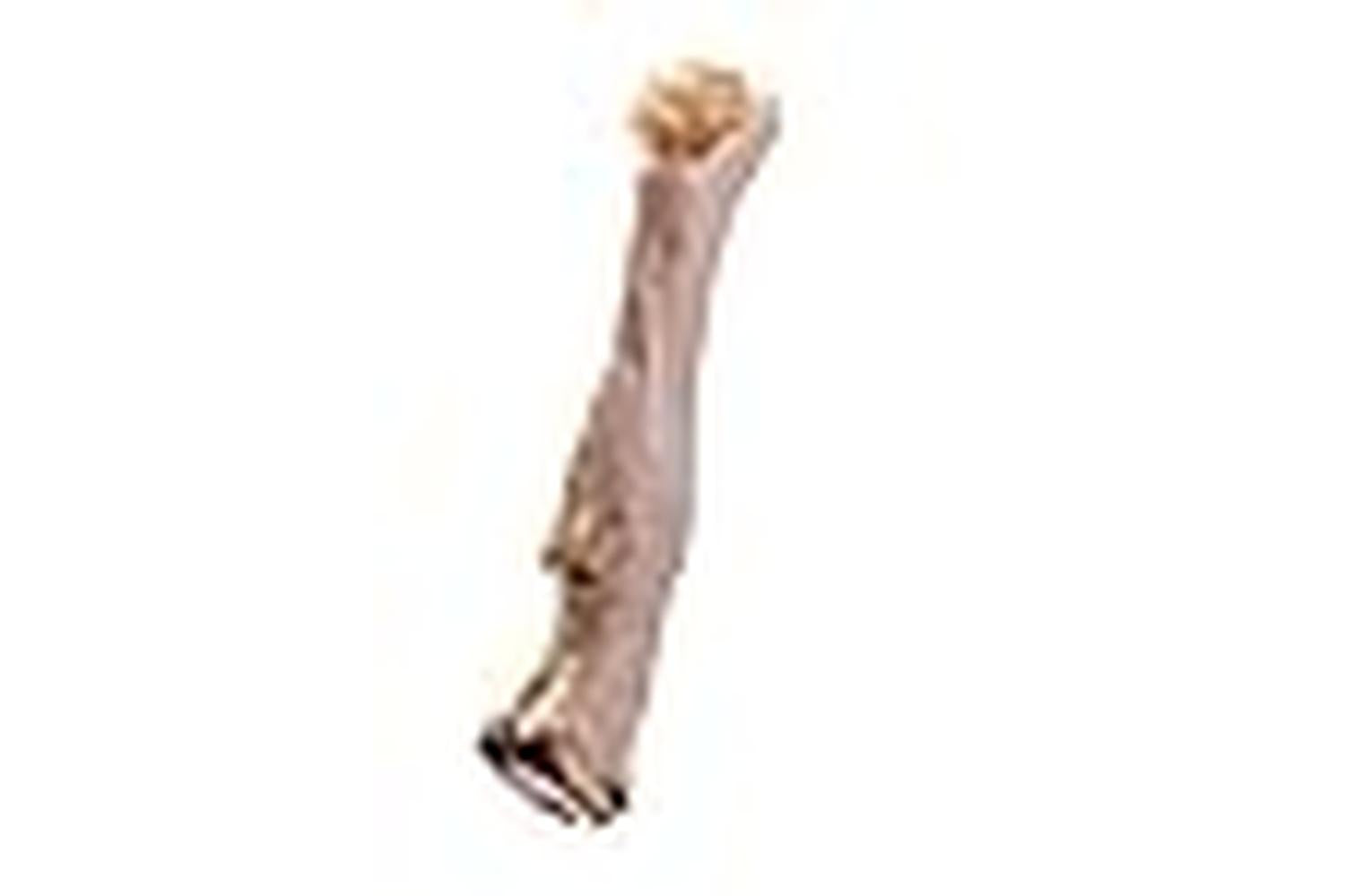 Doodle's Deli Pei-266939 - Doodles Deli Air Dried Goat Foot-3