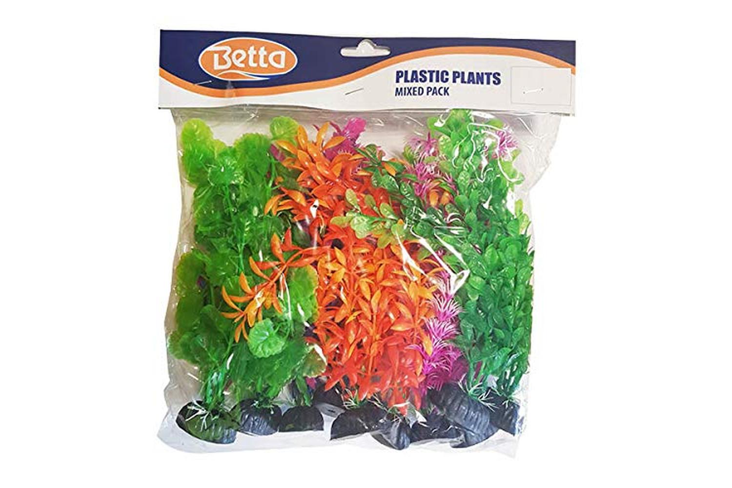 Betta Pei-268172 - Betta Budget 12