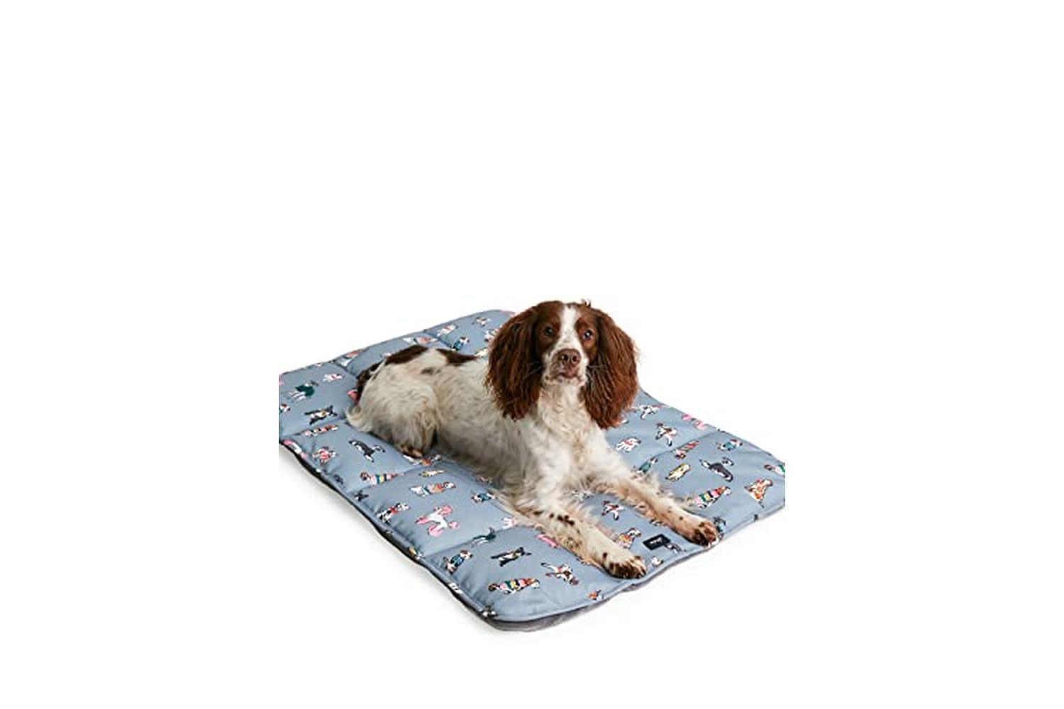 Rosewood Joules Pei-269833 - Joules Rainbow Dogs Travel Mat-2