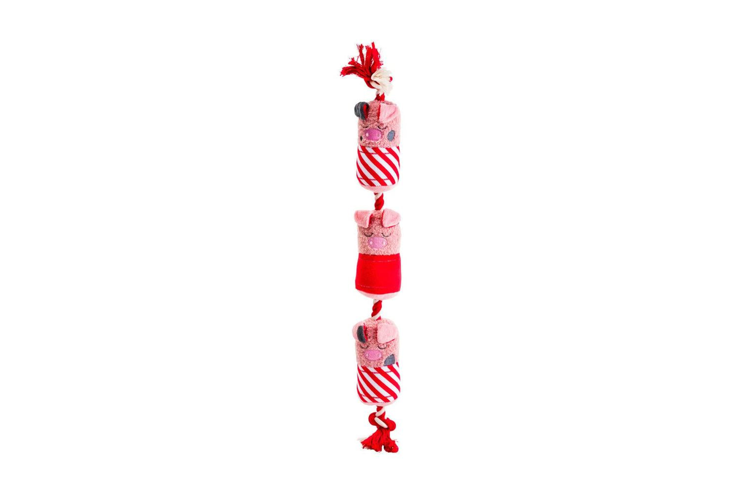 House Of Paws Pei-269259 - House Of Paws Party Animal Christ