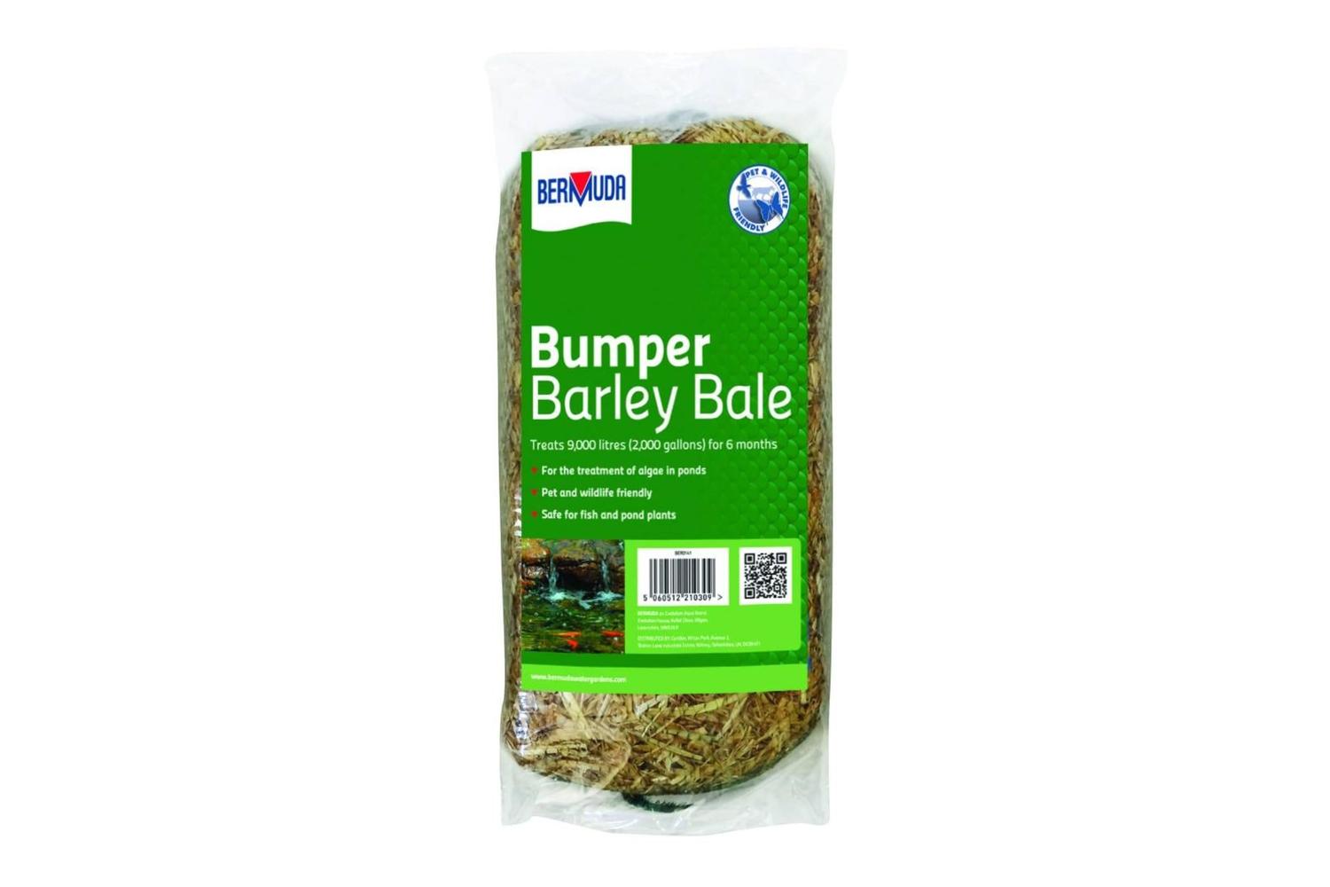 Bermuda Pei-268627 - Bermuda Barley Straw Natural Algae Cont