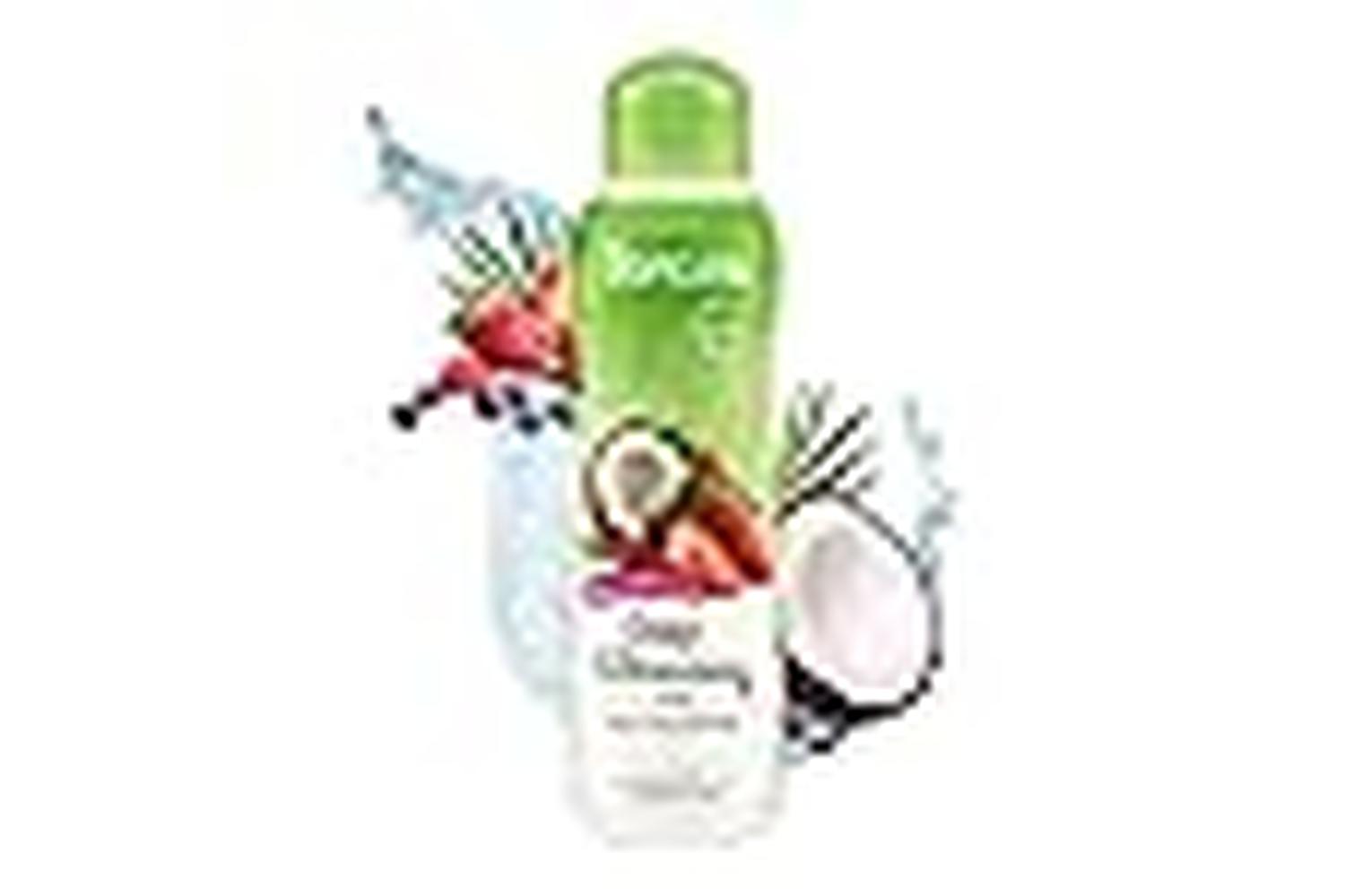Tropiclean Pei-261558 - Tropiclean Berry And Coconut Shampoo-3