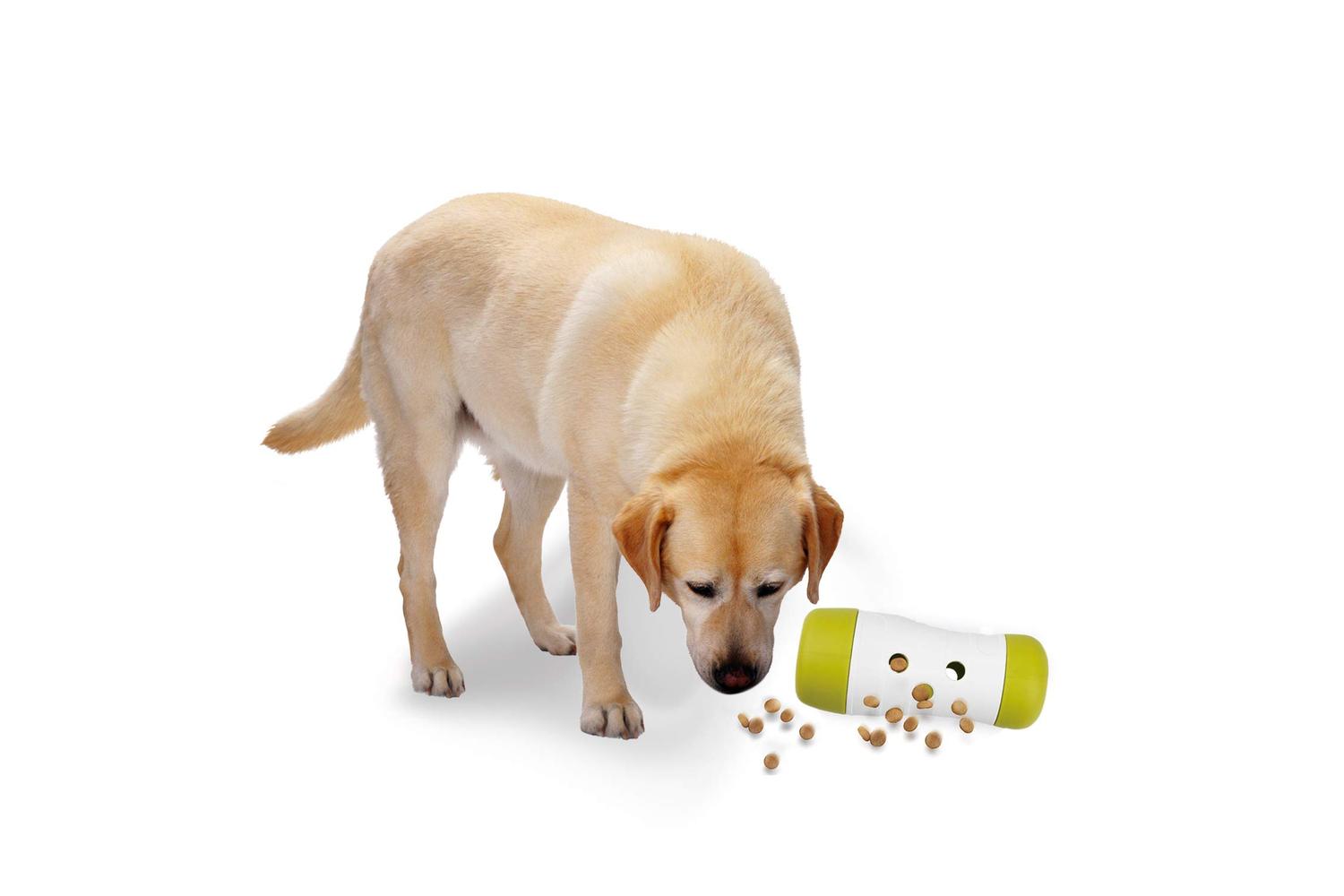 All For Paws Pei-268064 - All For Paws Interactives Treat Fr