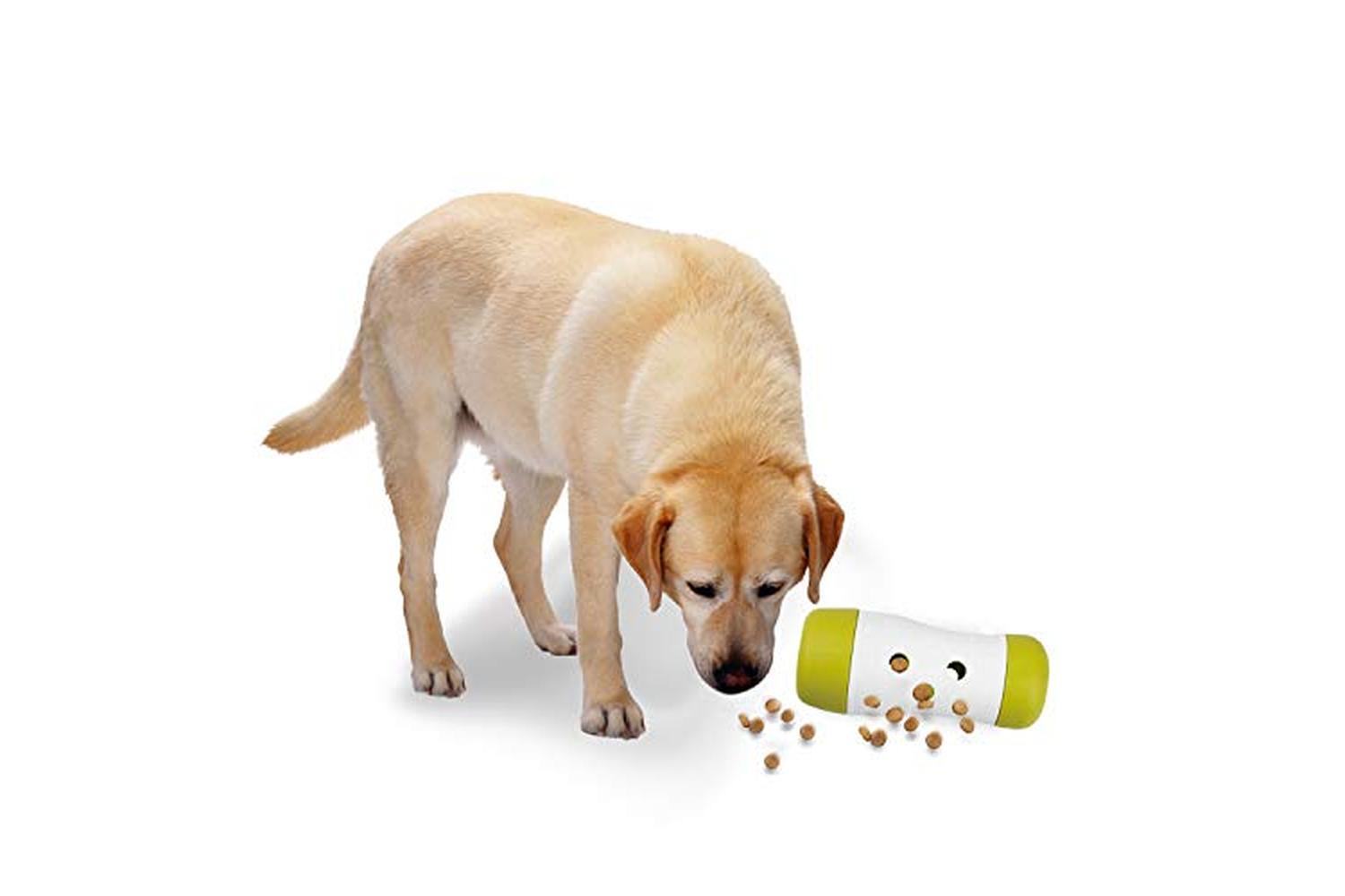 All For Paws Pei-268064 - All For Paws Interactives Treat Fr-2