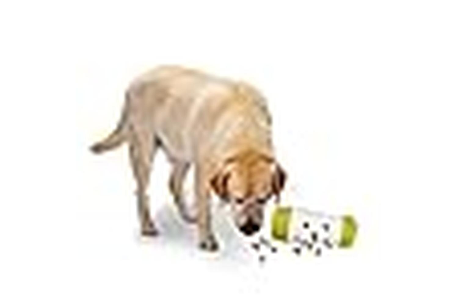 All For Paws Pei-268064 - All For Paws Interactives Treat Fr-3