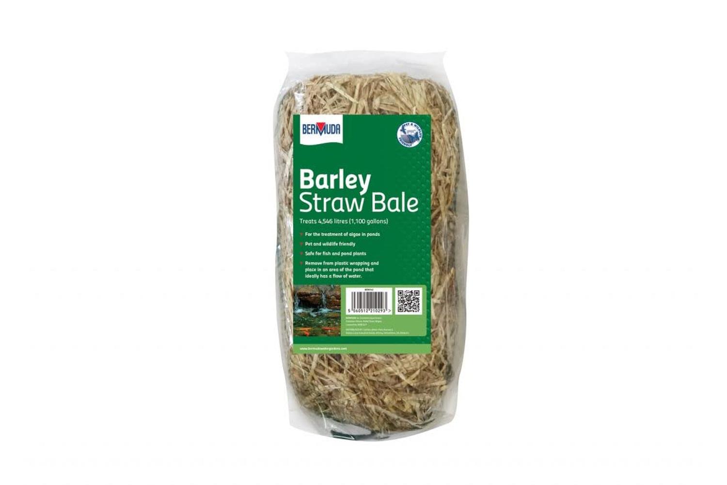 Bermuda Pei-268626 - Bermuda Barley Straw Natural Algae Cont