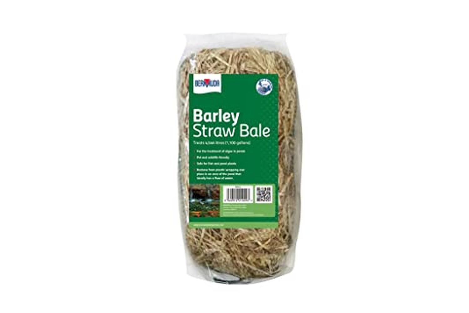 Bermuda Pei-268626 - Bermuda Barley Straw Natural Algae Cont-2