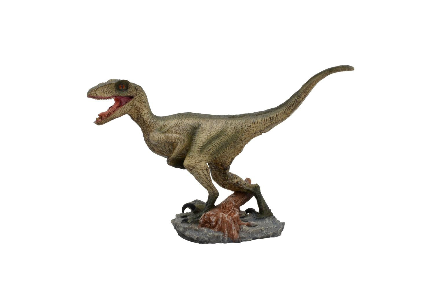 Betta Pei-268135 - Betta Velociraptor Dinosaur