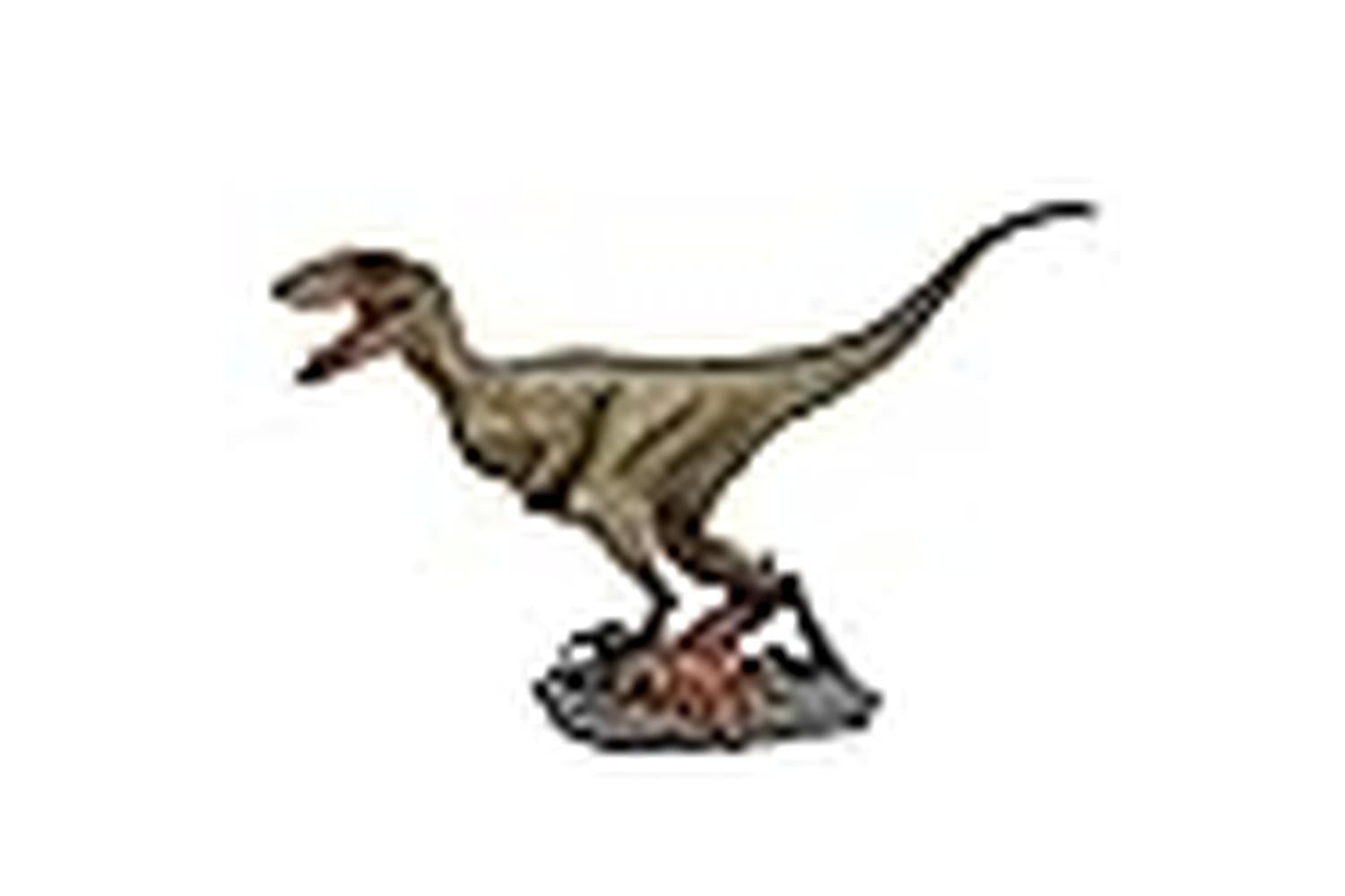 Betta Pei-268135 - Betta Velociraptor Dinosaur-3
