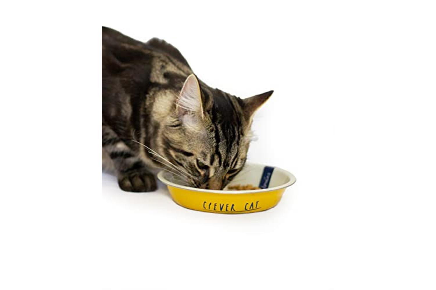 Rosewood Joules Pei-267200 - Joules Clever Cat Bowl-2