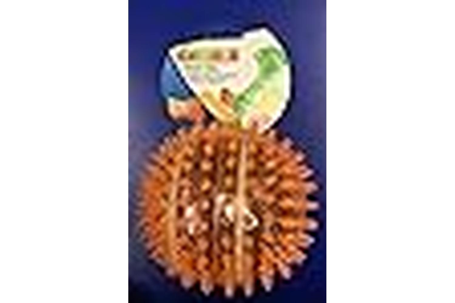 Animal Pei-39258 - Animal Instincts Chewies Spikey Ball Larg-2