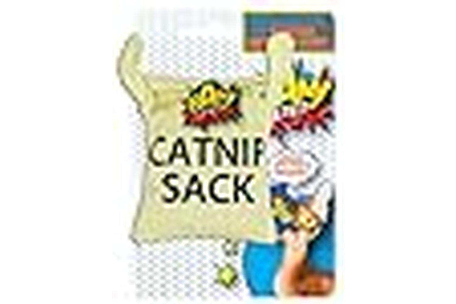 Bam Pei-266996 - Bam Catnip Sack Cat Toy-3