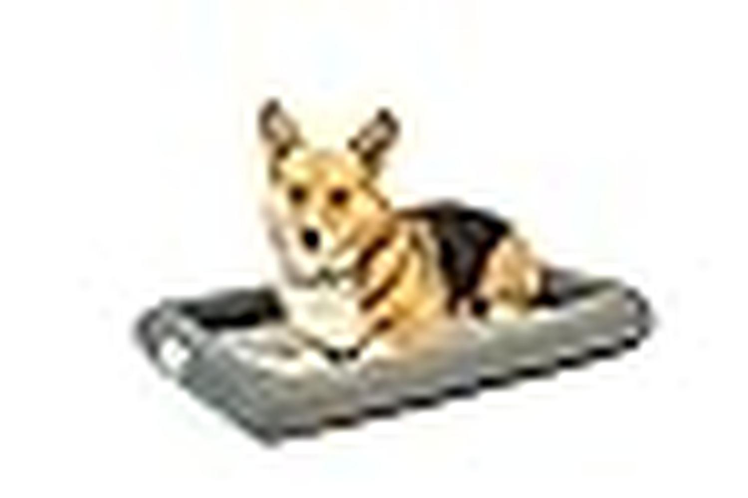 Petfusion Pei-268283 - Petfusion Cooling Crate Mat 23x18 Inc-3