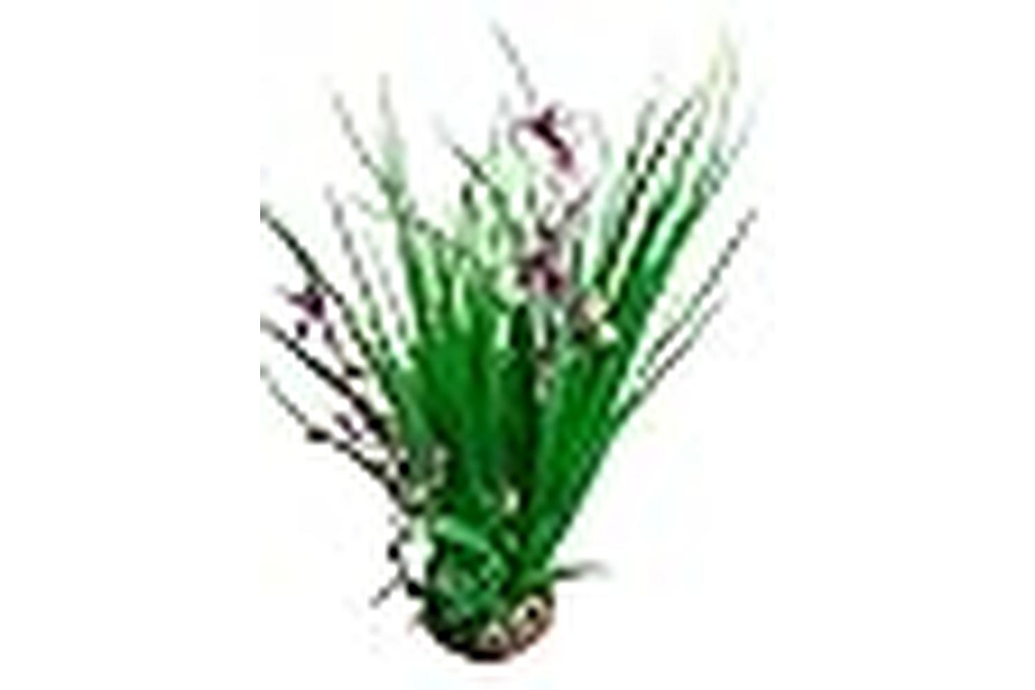 Betta Pei-268152 - Betta 10" Green & Pink Plastic Plant With-2