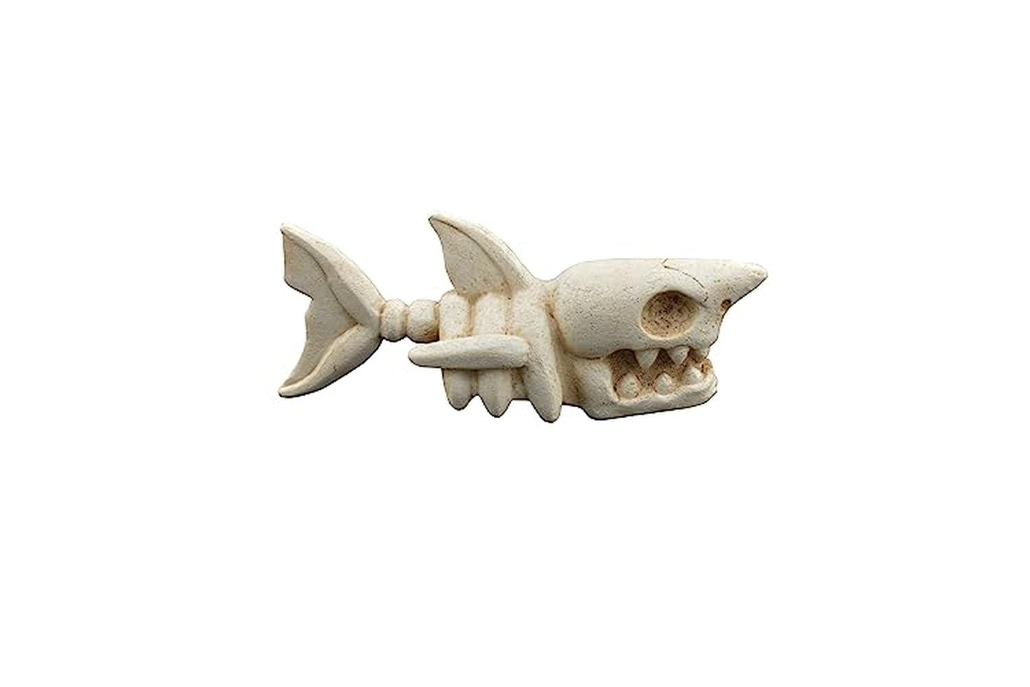 Betta Pei-268138 - Betta Small Shark Skeleton-2