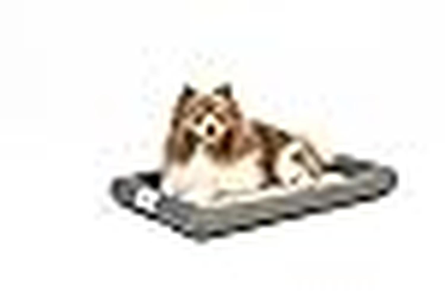 Petfusion Pei-268284 - Petfusion Cooling Crate Mat 21x12 Inc-3