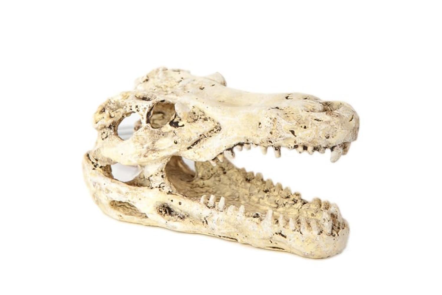 Betta Pei-268144 - Betta Mini Crocs Head