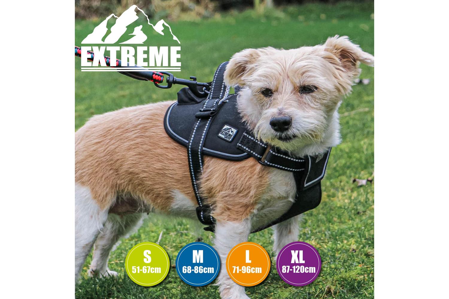 Ancol Bp-583840 - An Extreme H/ness Black - 68-86cm-2