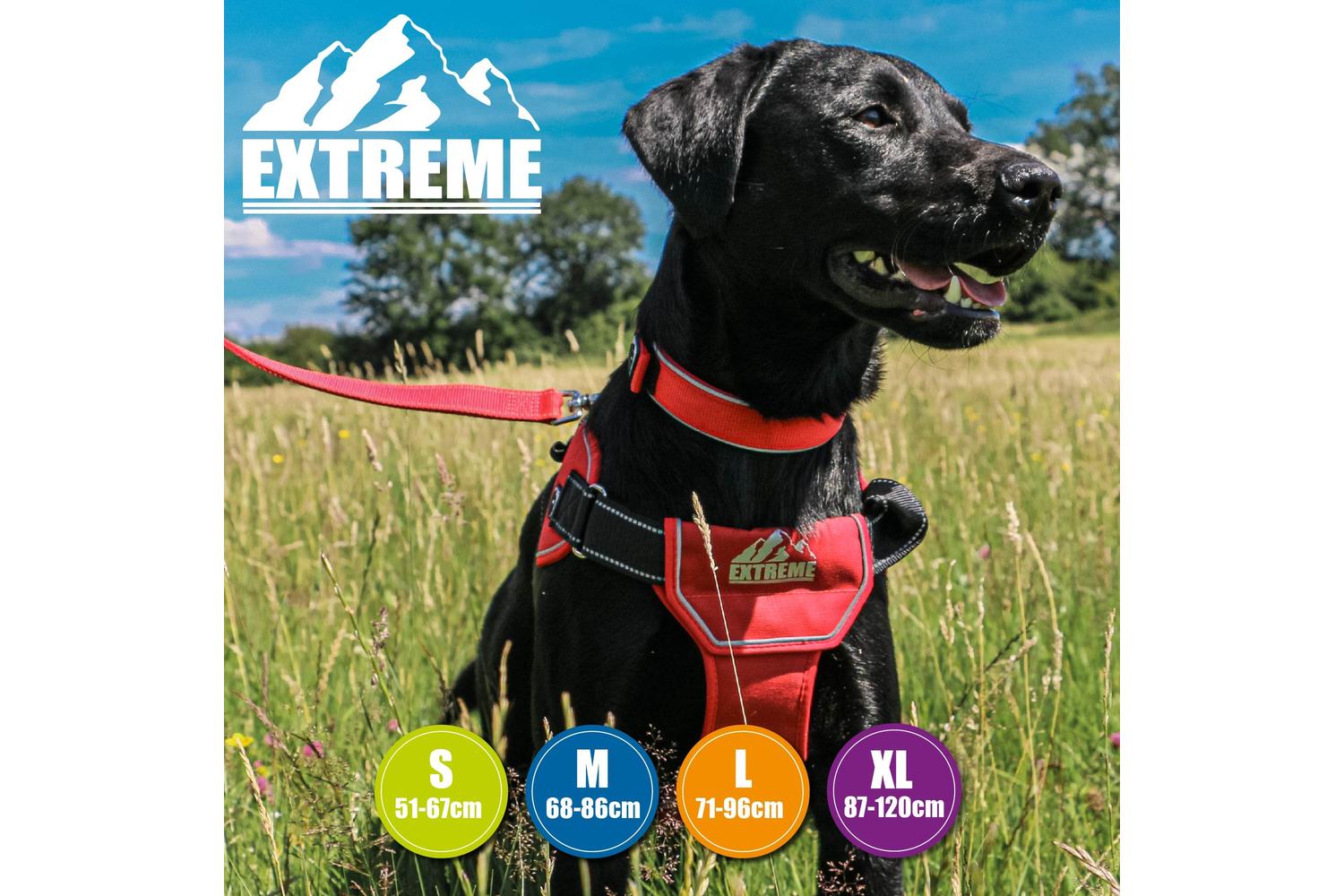Ancol Bp-583838 - An Extreme H/ness Red - 51-67cm-2