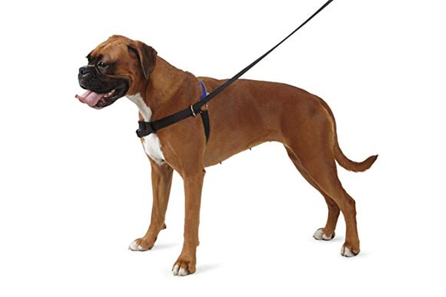 Ancol Bp-157106 - An Hah Harness&lead Med 54-73cm-2