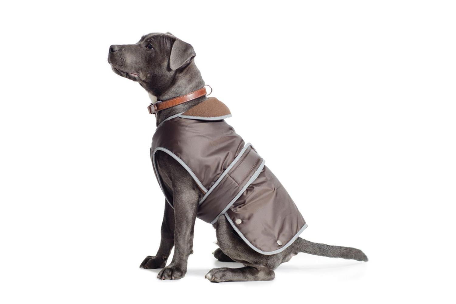 Ancol Bp-13752 - An Stormguard Coat Choc Xl 60cm