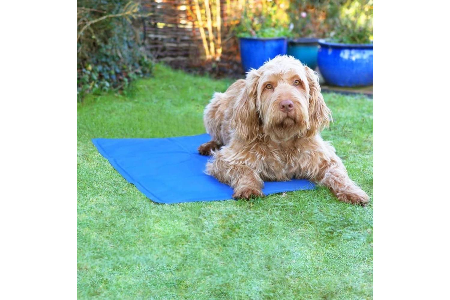 Ancol Bp-297996 - An Cooling Mat - Lge 60x90c-2