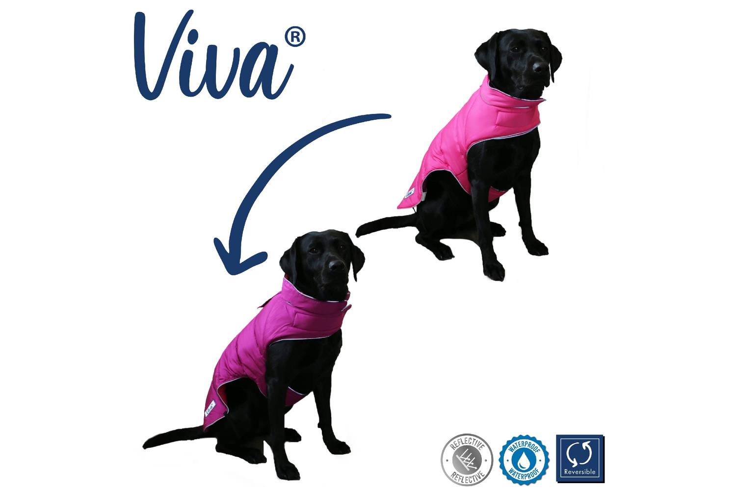 Ancol Bp-816832 - An Viva Rev Coat Pnk/pur - Xl-2