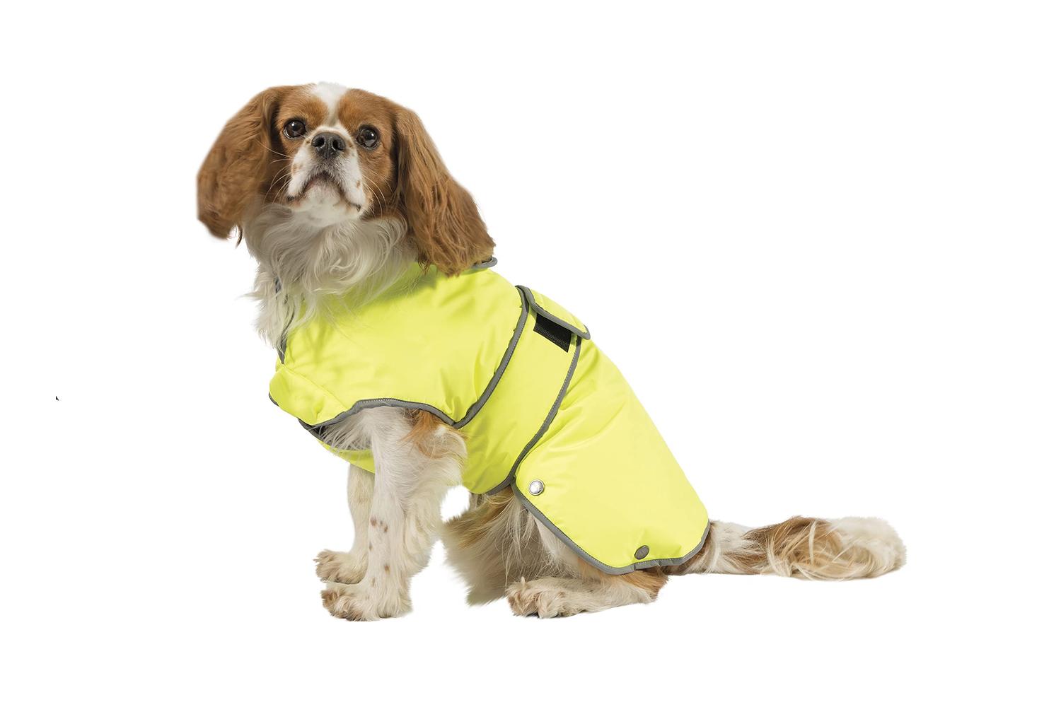 Ancol Bp-765928 - An Stormguard Coat Hivis - Lge-2