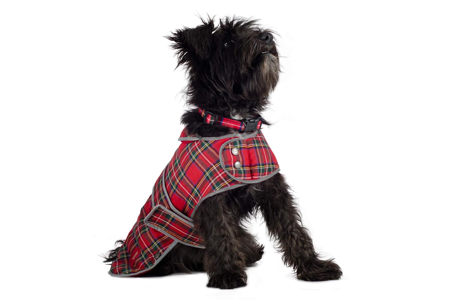 Ancol Bp-571311 - An H'land Red Tartan Lge 50cm