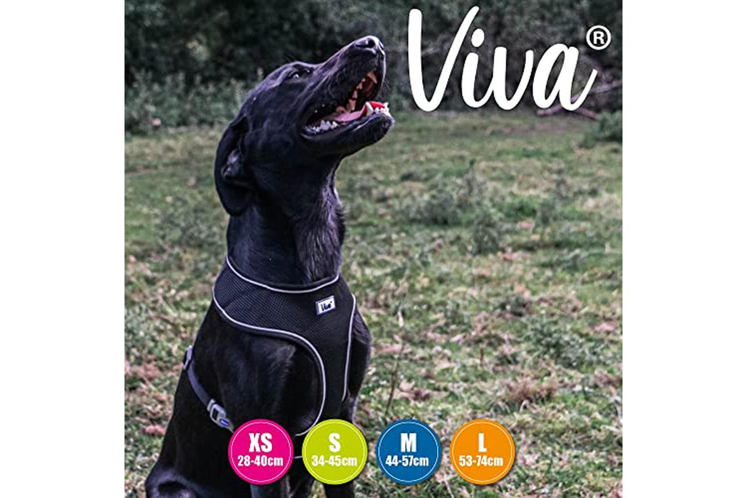 Ancol Bp-25895 - An Comf Mesh H/ness Blk Lge 53-74cm-3