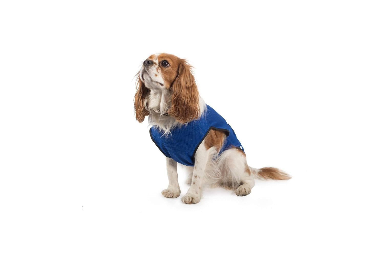 Ancol Bp-613814 - An Cooling Coat Lge 50cm