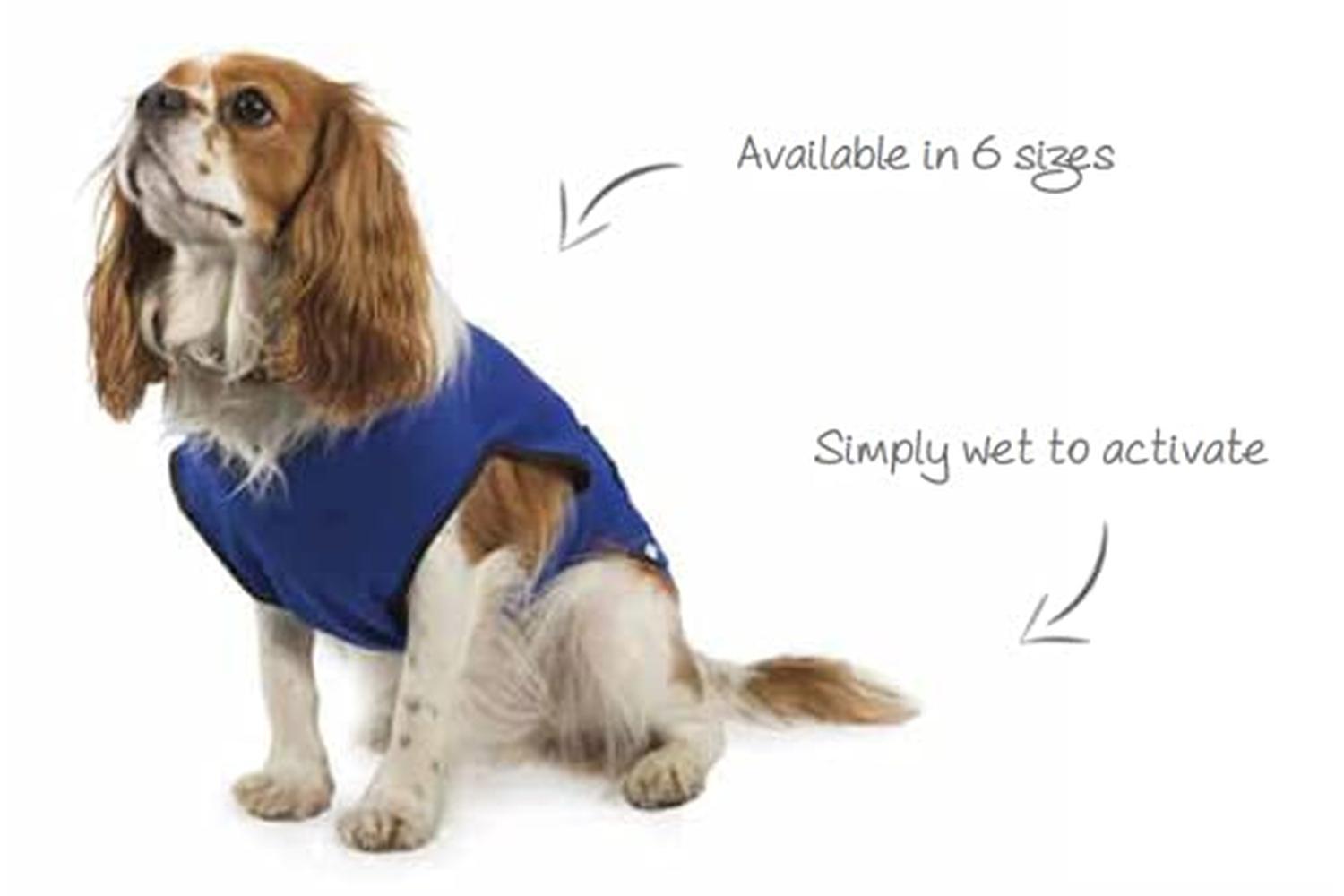 Ancol Bp-613814 - An Cooling Coat Lge 50cm-2