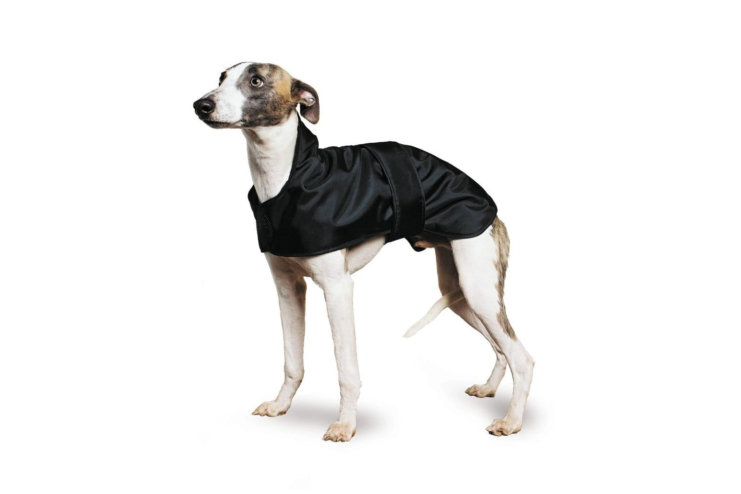 Ancol Bp-574237 - An Whippet&greyhound Coatsml 43cm