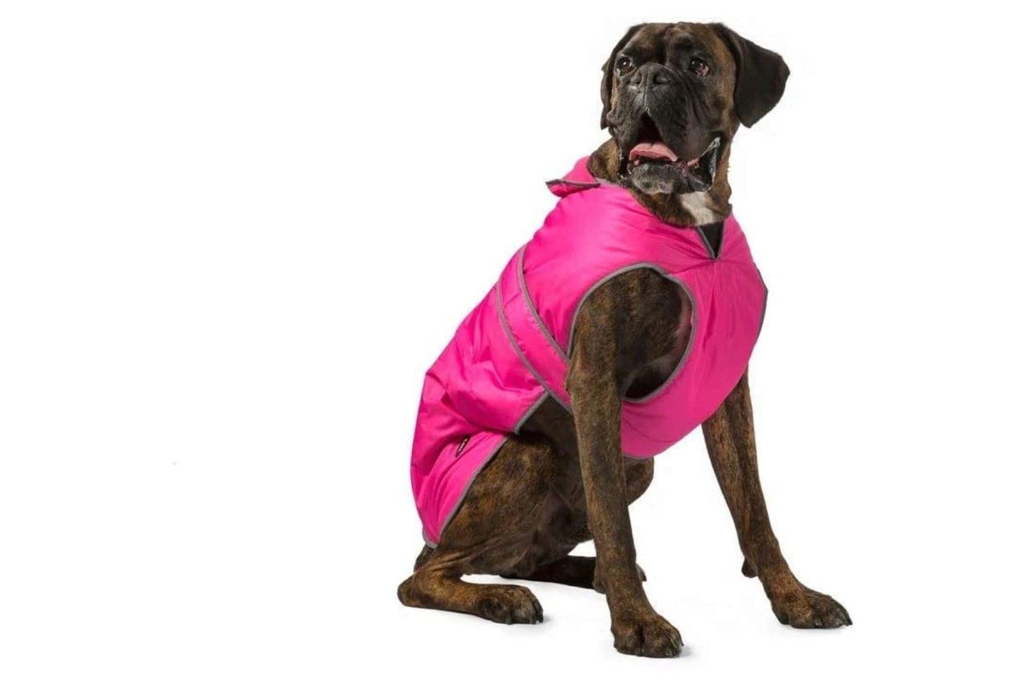 Ancol Bp-381620 - An Stormguard Coat Pink - Sml 30cm