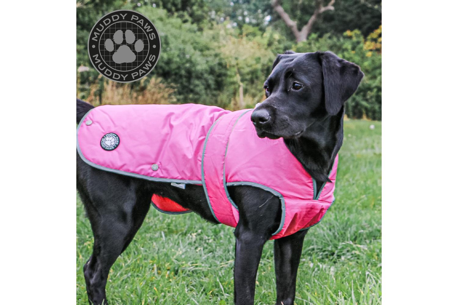 Ancol Bp-381620 - An Stormguard Coat Pink - Sml 30cm-2