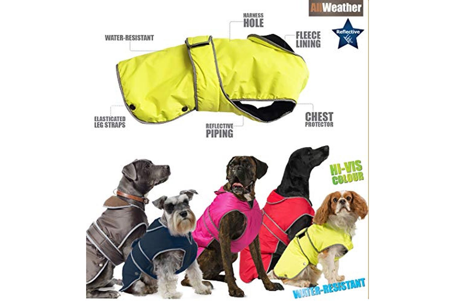 Ancol Bp-752305 - An Stormguard Coat Blue Sml 30cm-3