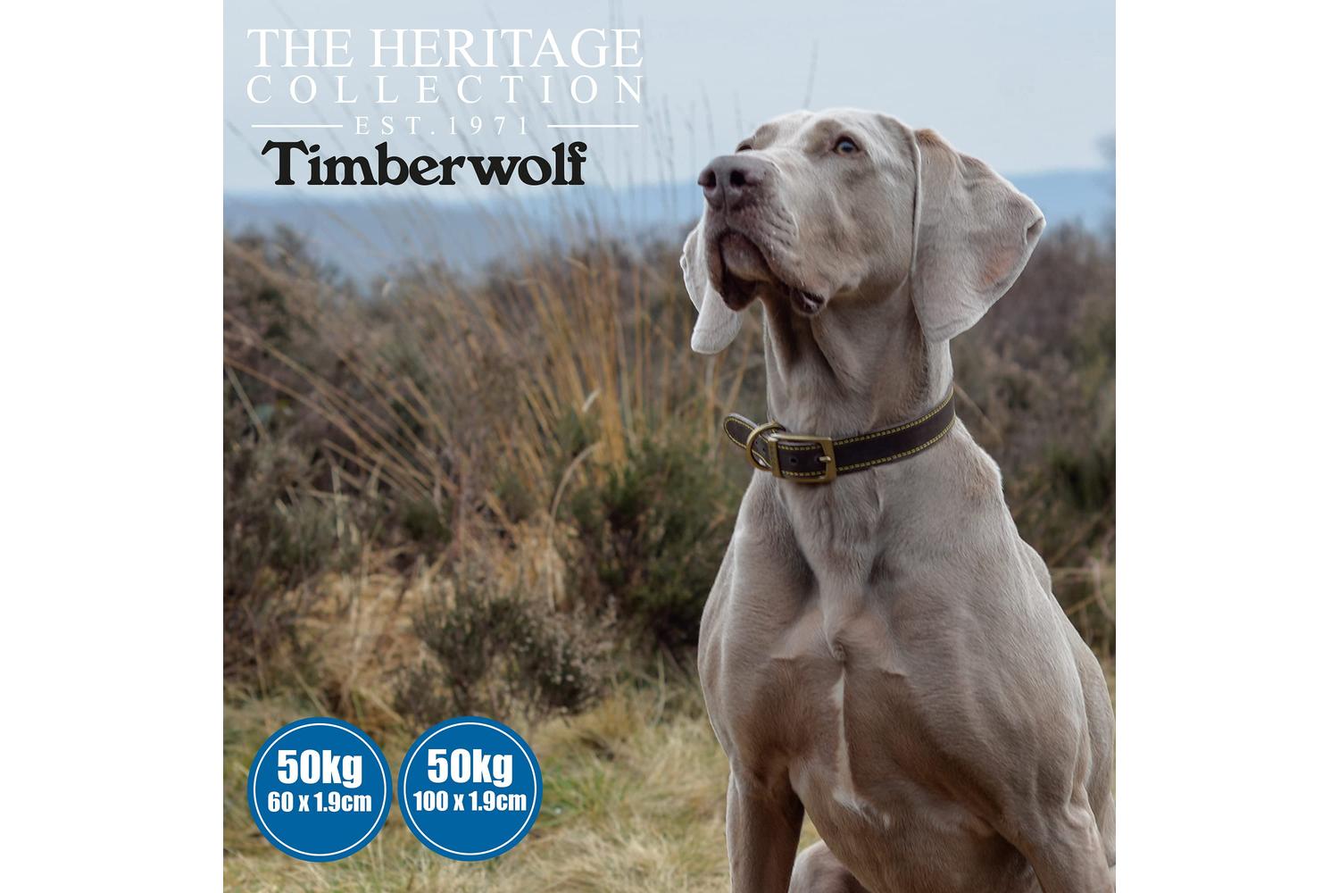 Ancol Bp-583762 - An Timberwolf Lead Sable 100-1.9cm-3