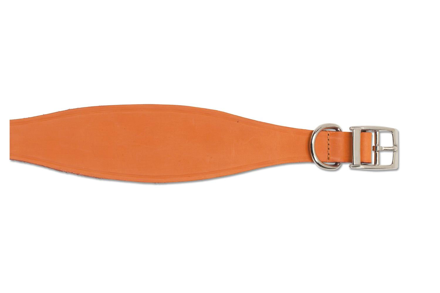 Ancol Bp-892910 - An Leather Coll Whip Tan - 30-34cm