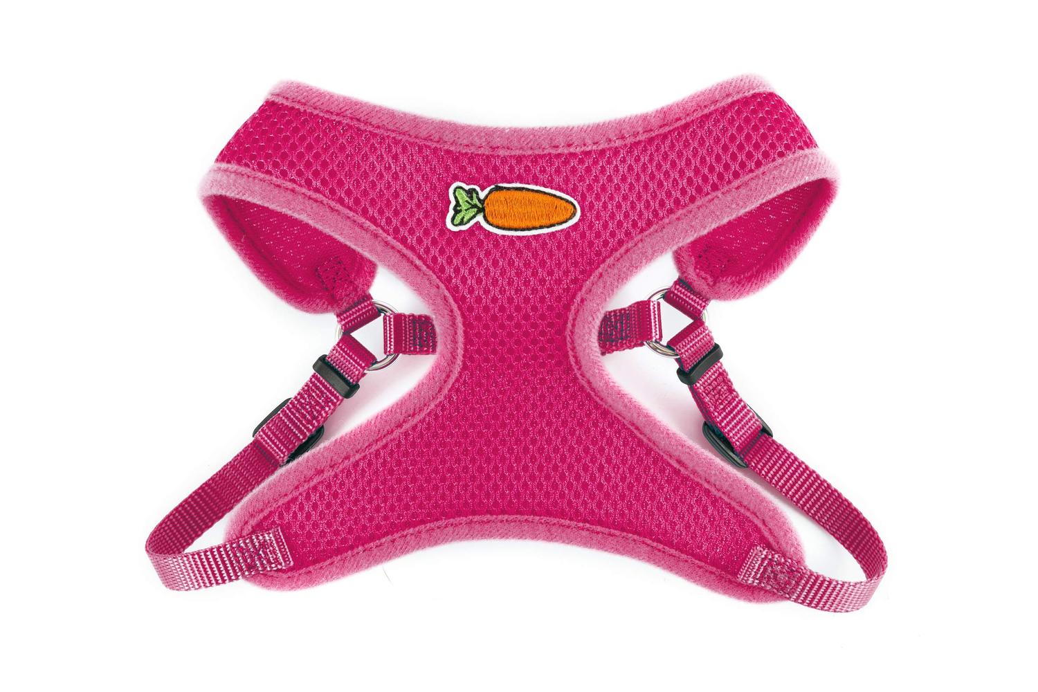 Ancol Bp-574422 - An Sa Harness Set Teal Med Girth 36-43-2