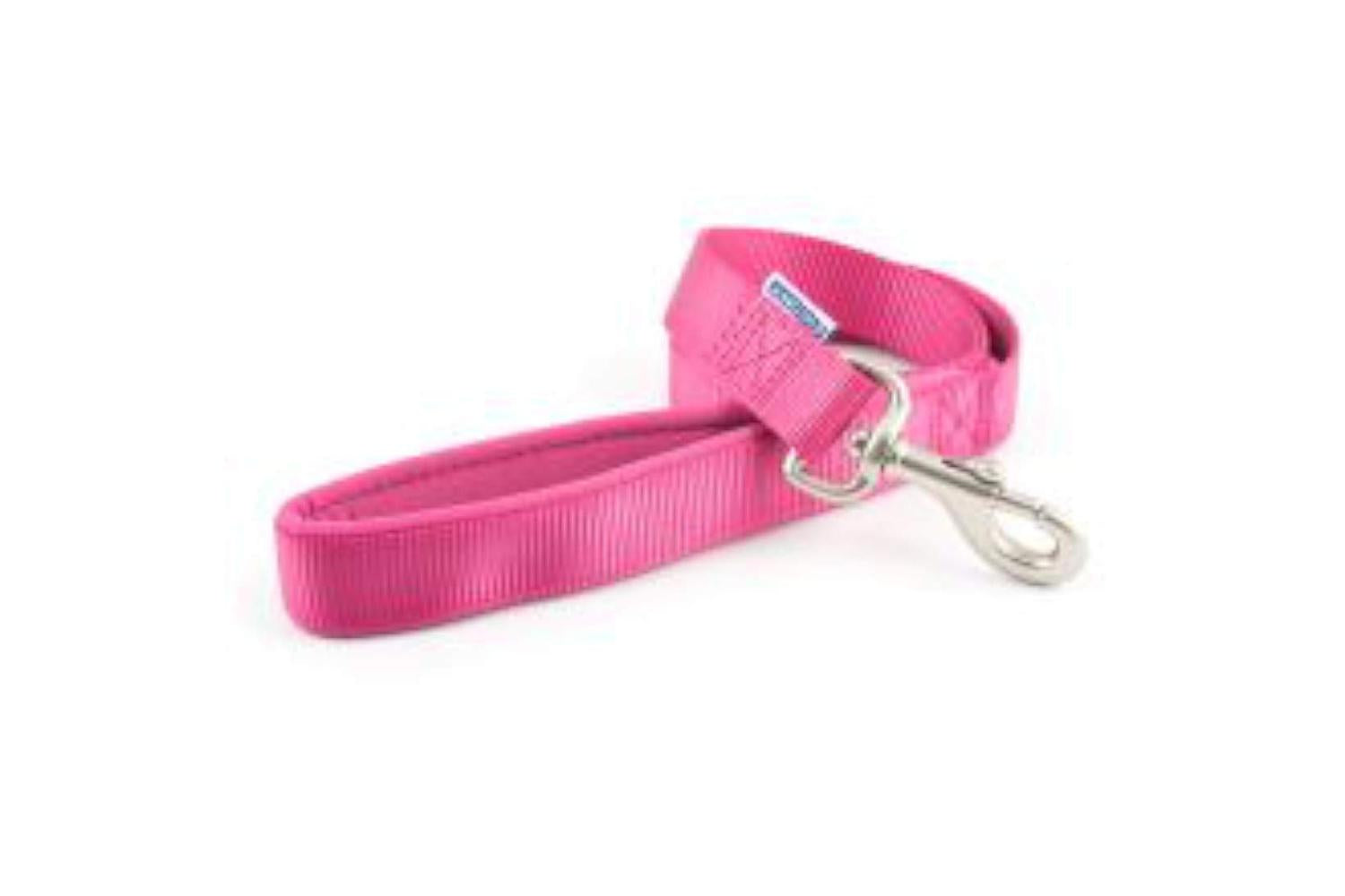 Ancol Bp-124443 - An Nylon Lead Raspberry - 2.5x100cm-3