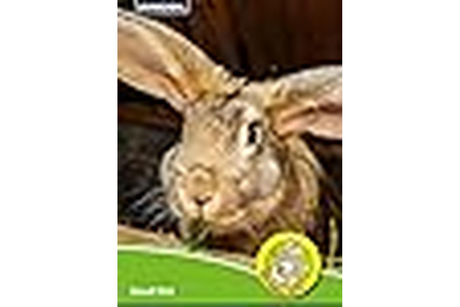 Ancol Bp-242219 - An Rabbit Harness Set Blusgl-3