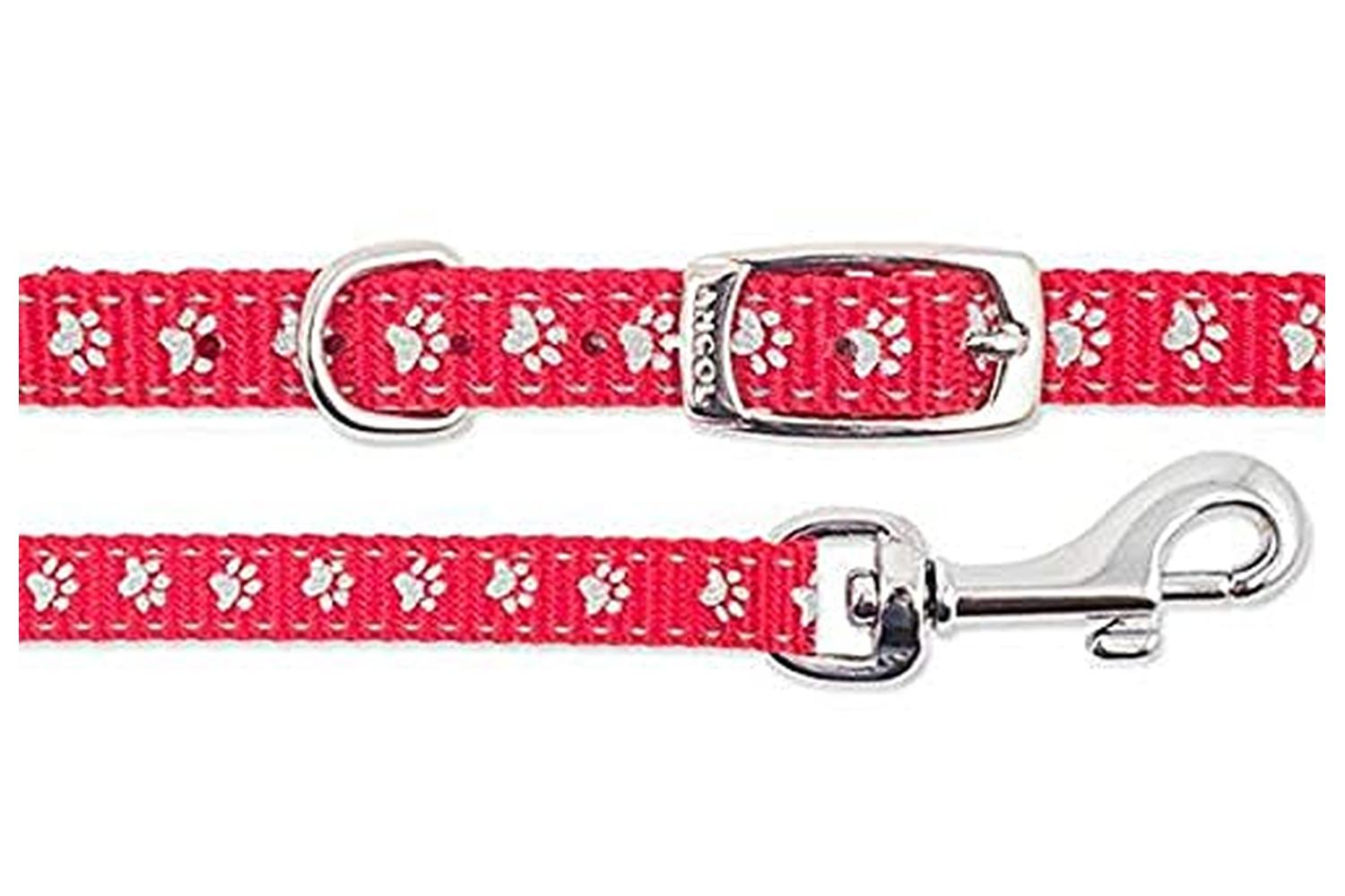 Ancol Bp-242604 - An Nylon Puppy Set Red 20-30cm