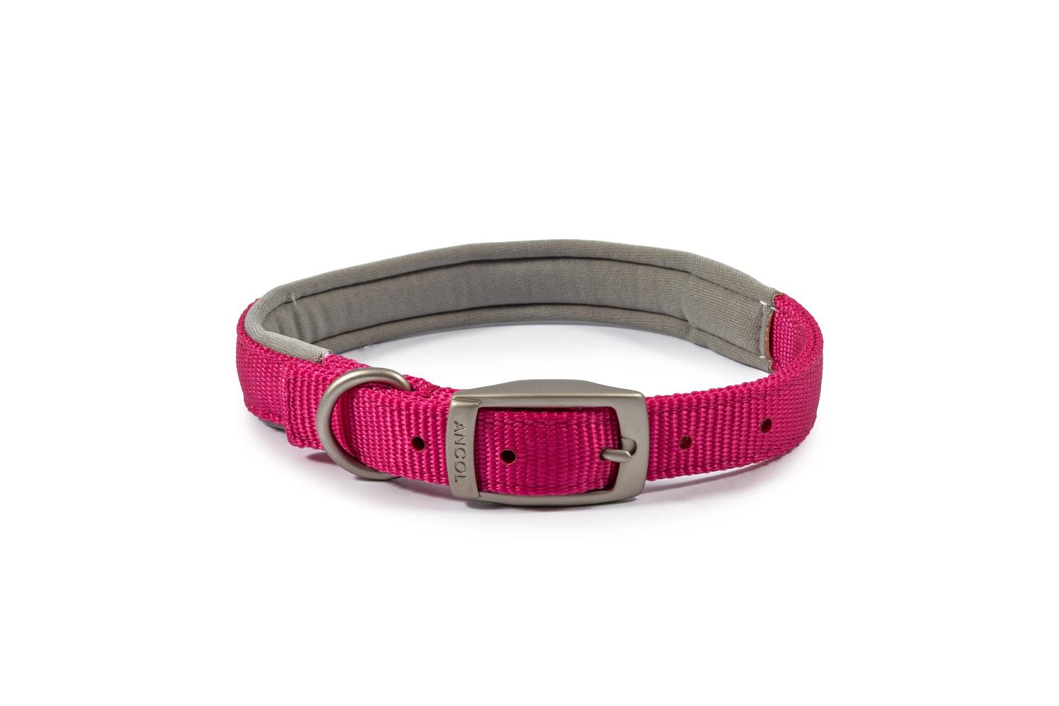 Ancol Bp-124432 - An Nylon Pad Collar Rasp 35-43cm Size 4