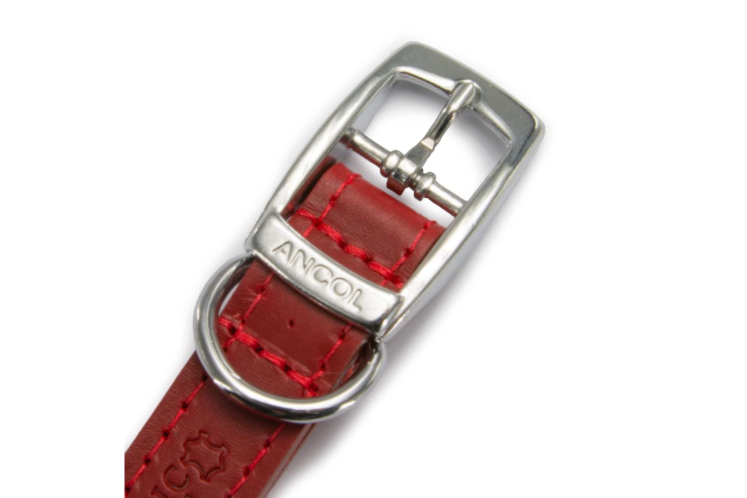 Ancol Bp-871968 - An Leather Collar Red 26-31cm Size 2-3