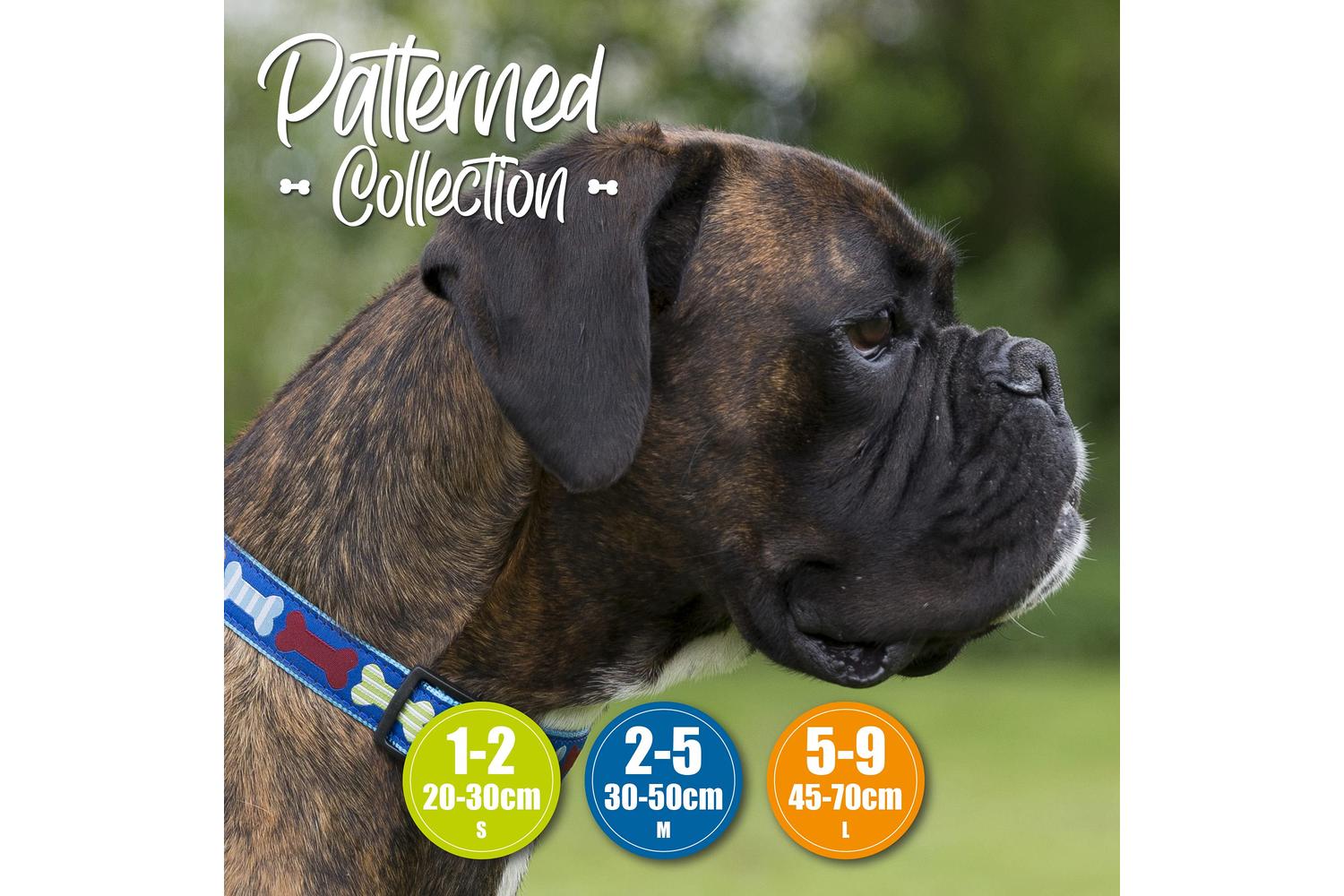 Ancol Bp-567382 - An Adj Collar Bones Blue 30-50cm-2
